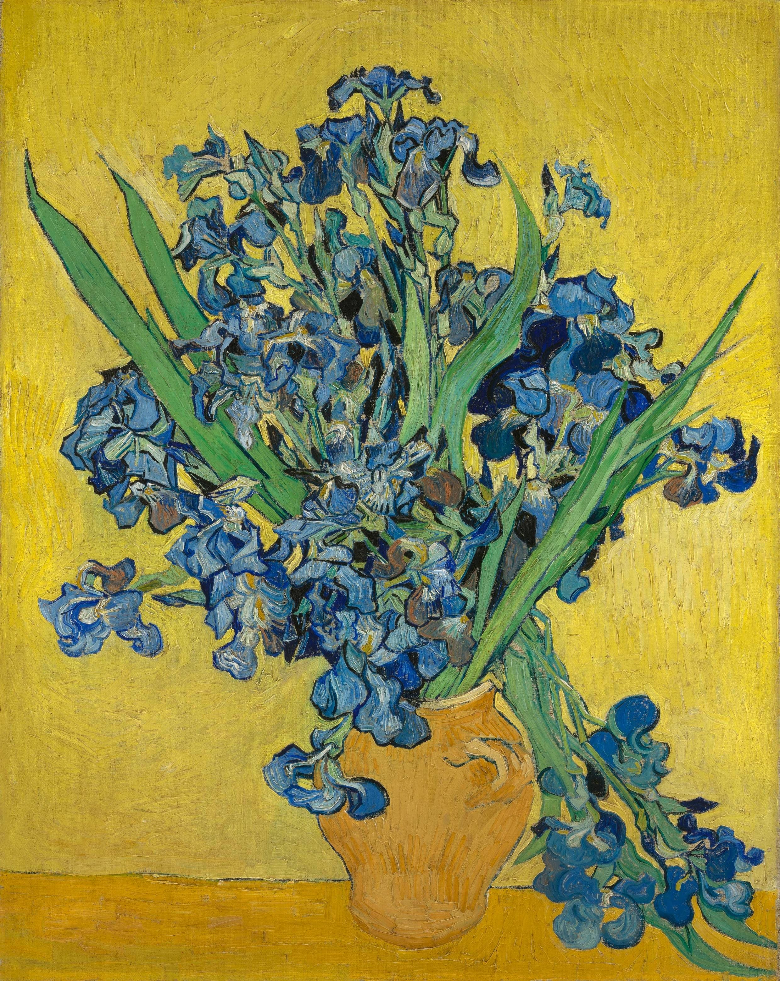 Vincent van Gogh, Irises, 1889